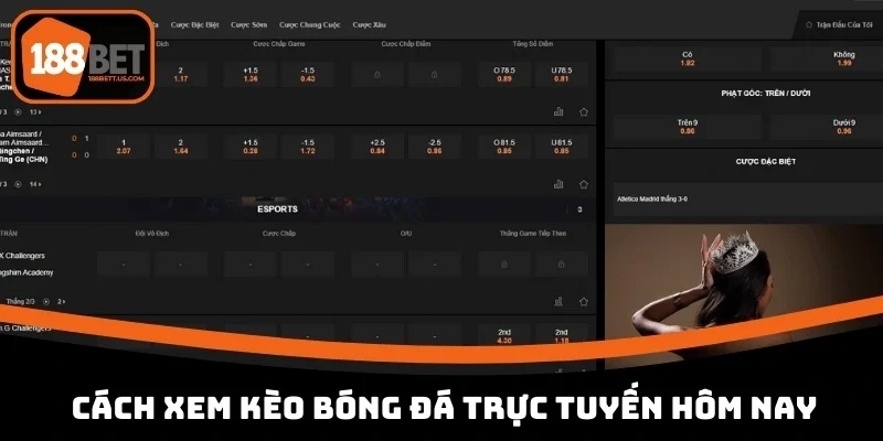 Cách xem kèo bóng đá trực tuyến hôm nay